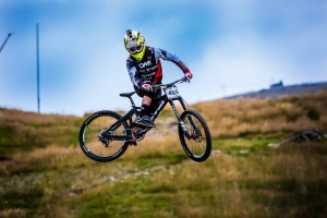 lodenica corporation web